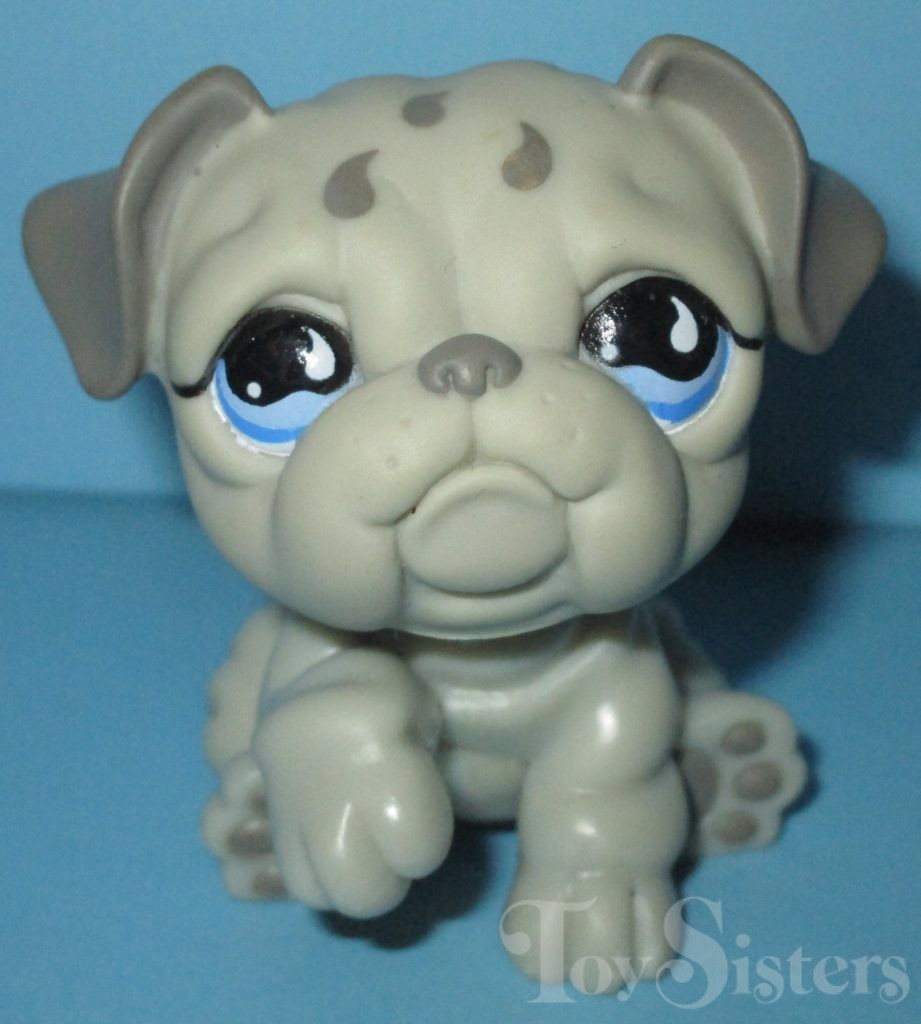 Details about   Littlest Pet Shop~#508~English Bulldog~Dog Puppy~2 Tone Gray~Blue Teardrop Eyes 