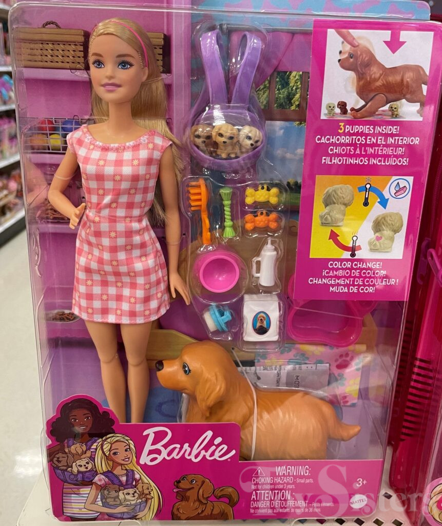 2021 Barbie Doll and Newborn Pups Playset (HCK75) Toy Sisters