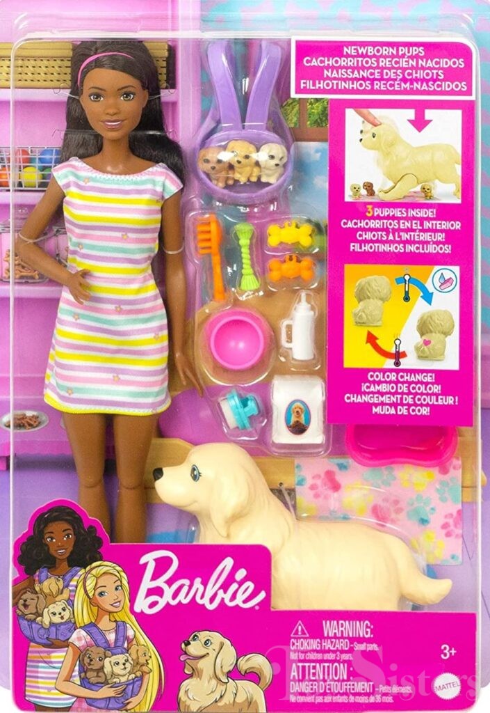 2021 Barbie Doll AA and Newborn Pups Playset (HCK76) Toy Sisters