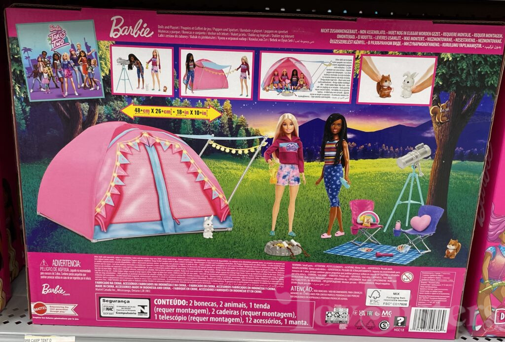 Barbie Doll It Takes Two "Brooklyn" With Camping Accessories 10 & Dog