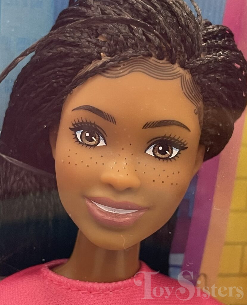 2022 Barbie It Takes Two Budget Brooklyn Doll (HGT14) Toy Sisters