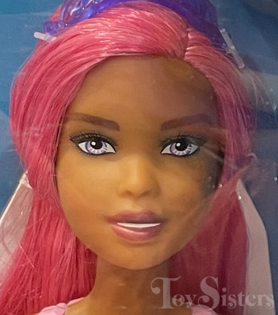 2022 Barbie Dreamtopia Costco Princess Carriage & Unicorn Set (HGM64